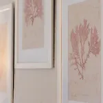 Cozy Retreat With Patio Steps From Alcazar * Córdoba