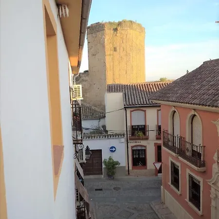 Apartment Flores De San Basilio *