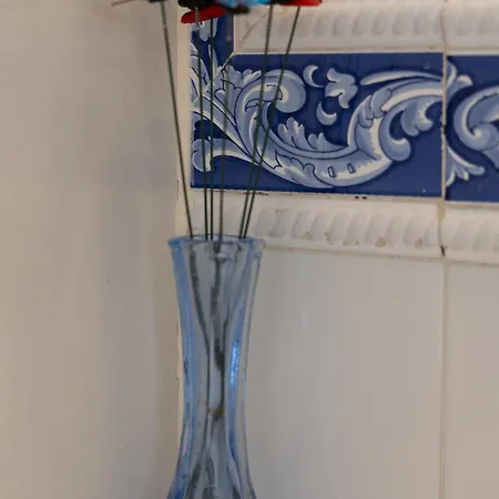 Flores De San Basilio * Córdoba