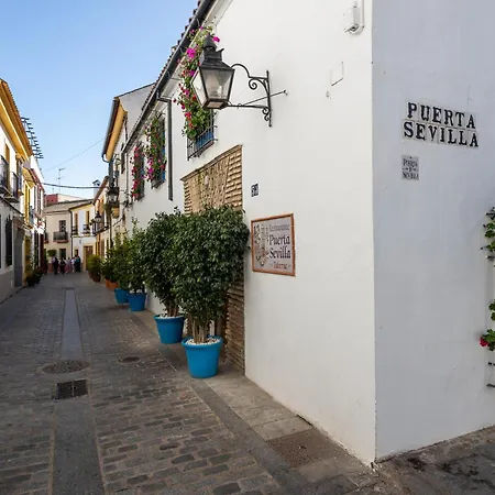 Flores De San Basilio Córdoba