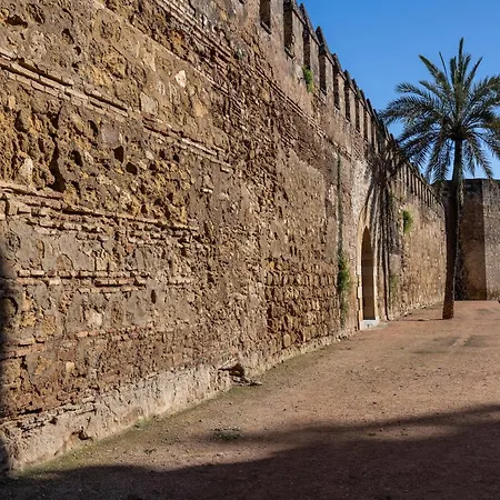 Appartamento Cozy Retreat With Patio Steps From Alcázar