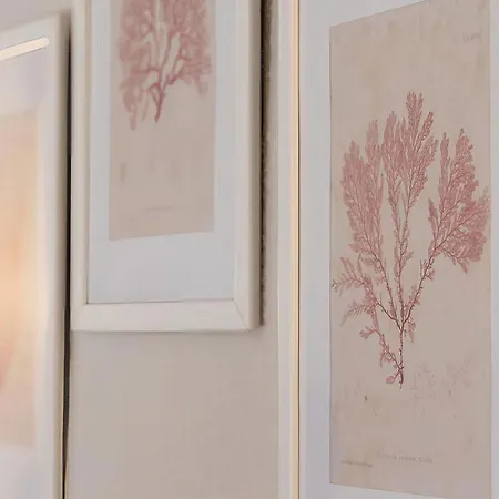 Las Flores de San Basilio * Córdoba