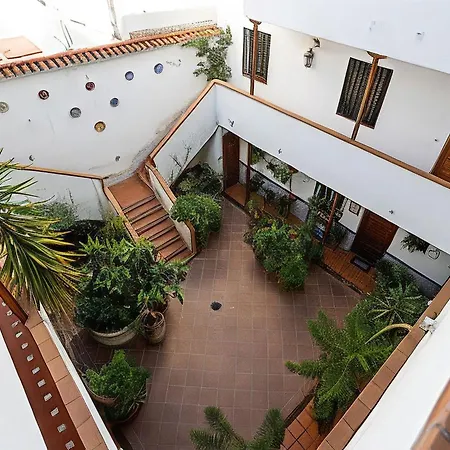 Las Flores de San Basilio Córdoba