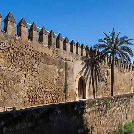 Las Flores de San Basilio Córdoba